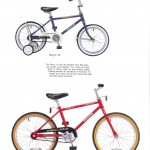 1988pg16 1988 Panasonic Boy's 16 and Boy's 20