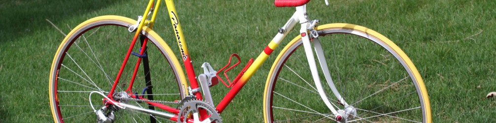 1989 Panasonic PICS Team Custom – Naperville Cyclery Frame