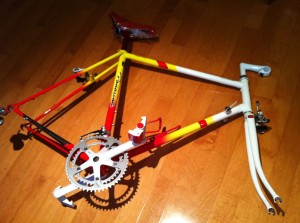 1989 PICS Team Custom