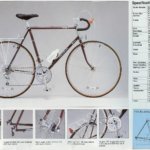 Page 7 thumbnail