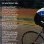 Page 3 thumbnail